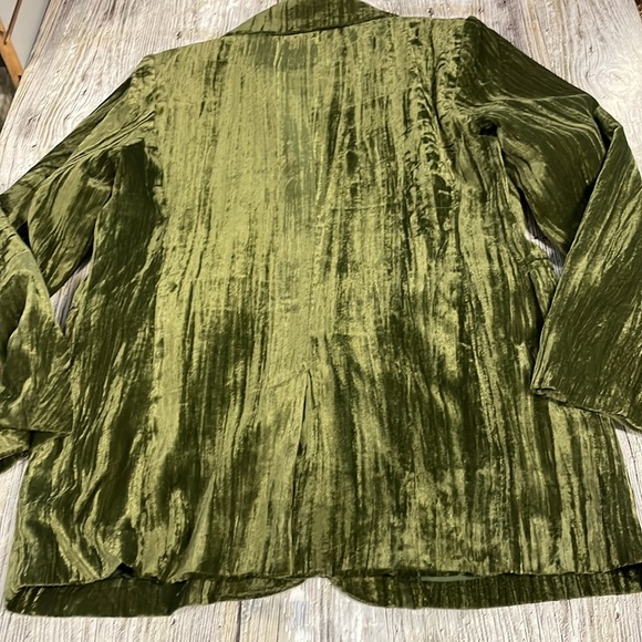 Ellison Crinkle Velvet Jacket in Green - Boutique Brand Small - Picture 5 of 5